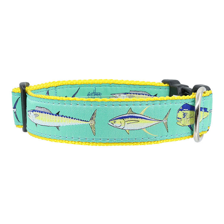 Guy Harvey Offshore Collars & Leads