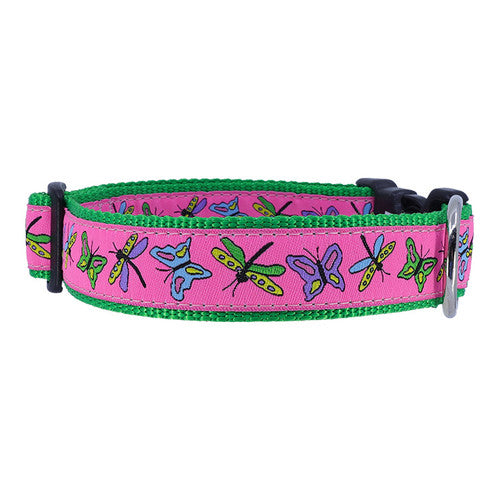 Preston Papillion Collars & Leads
