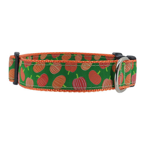 Preston Pumpkin Patch Collars & Leads