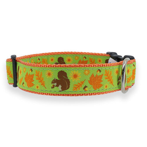 Preston Squirrel & Nuts Collars & Leads