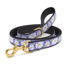 Up Country Daisy Collars & Leads