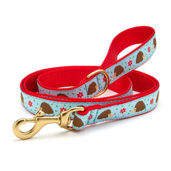 Up Country Hedgehog Collars & Leads
