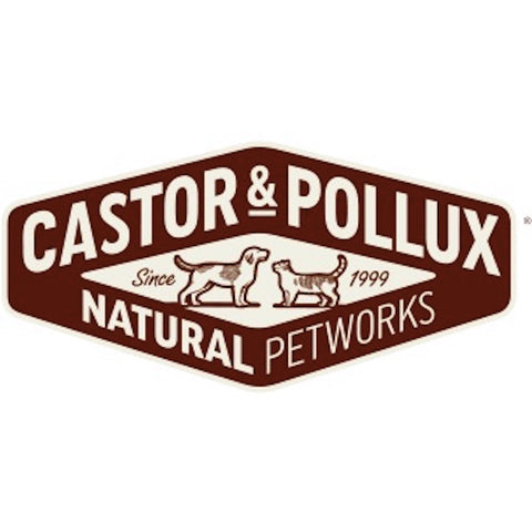 Castor & Pollux