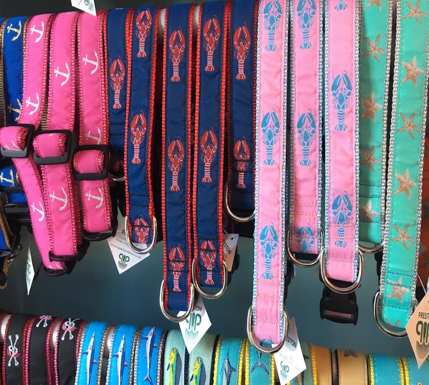 Collars & Leads