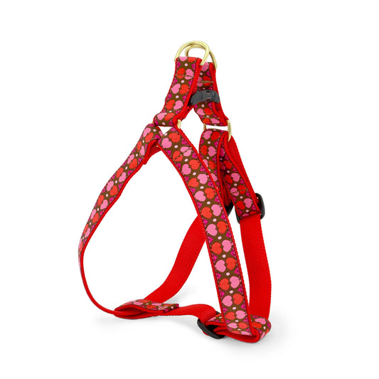 Up Country All Hearts Step In Harness