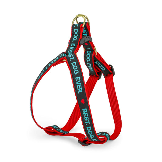 Up Country Best Dog Ever Step In Harness