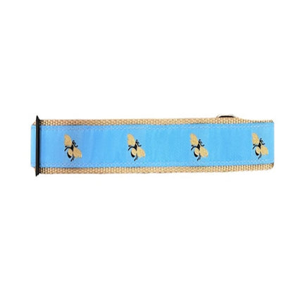 Preston Bumble Bees Collars & Leads