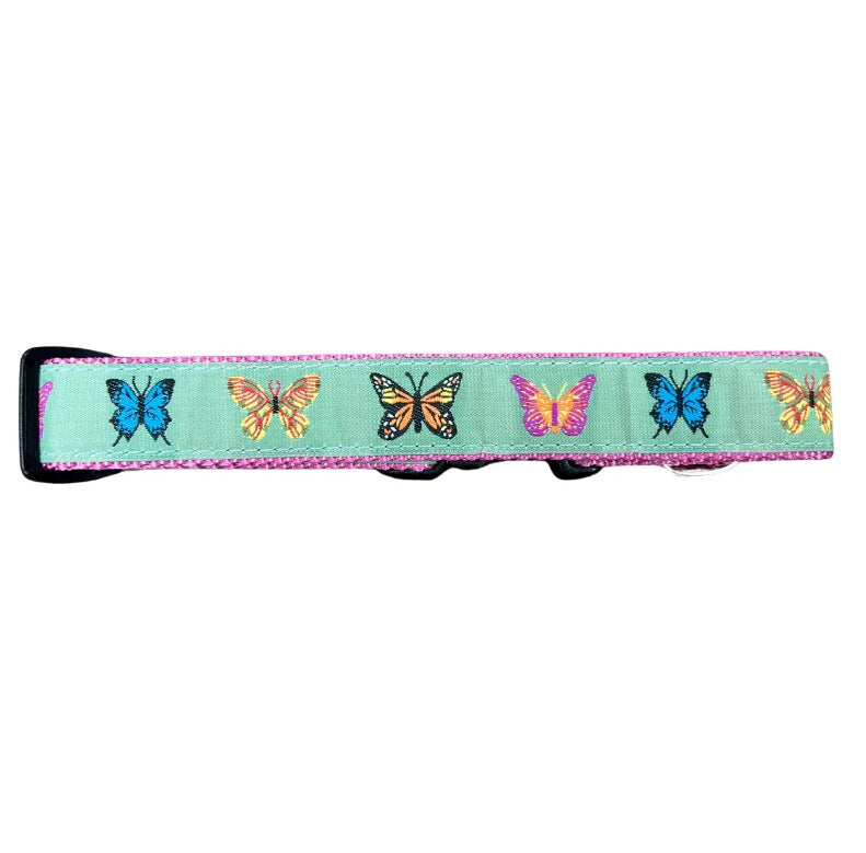 Preston Butterflies Dog Collars & Leads