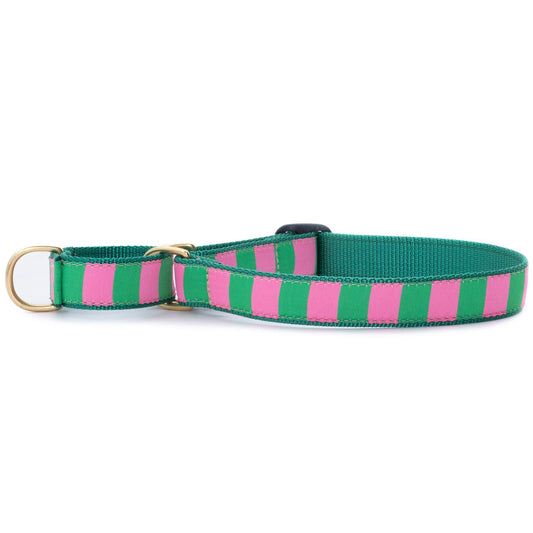 Up Country Cabana Stripe Martingale Collar