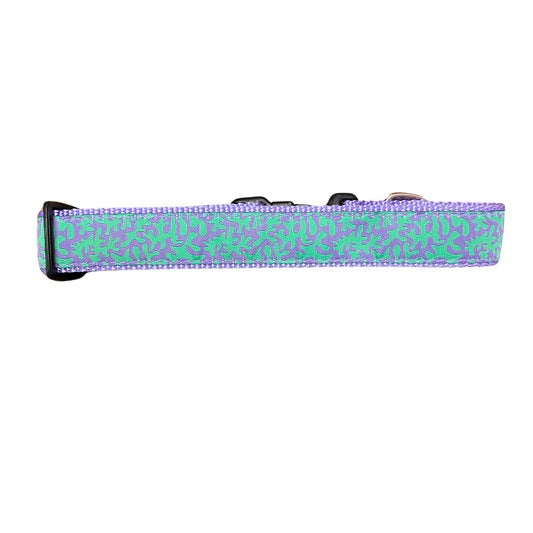 Preston Coral Collars & Leads