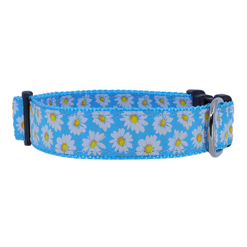 Preston Daisies Light Blue Collars & Leads