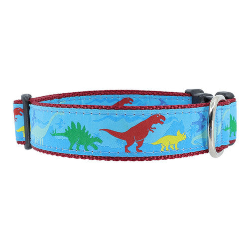 Preston Dinosaur Collars & Leads