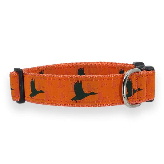 Preston Duck Collars & Leads