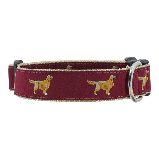 Preston Golden Collars & Leads