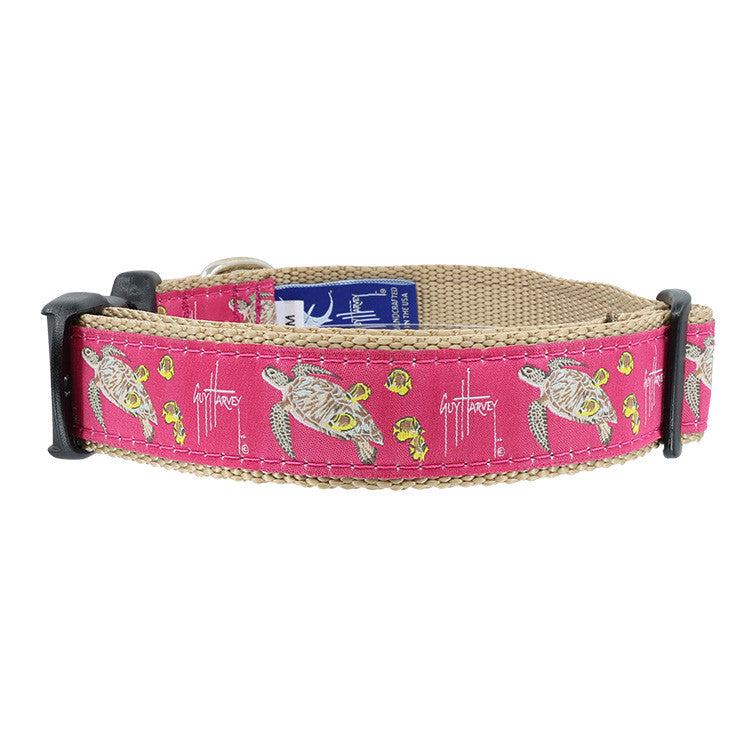Guy Harvey Sea Turtles Collars & Leads