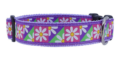 Preston Oopsy Daisy Collars & Leads