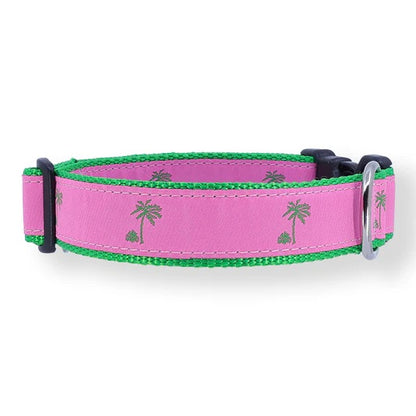 Preston Palm Trees Collars & Leads