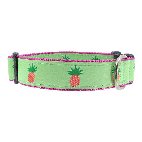 Preston Pineapple Collars & Leads