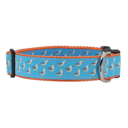Preston Seagulls Collars & Leads