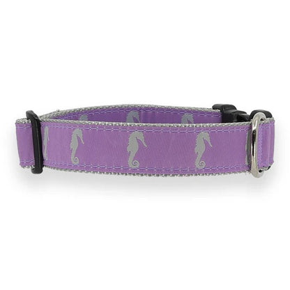 Preston Seahorse Collars & Leads