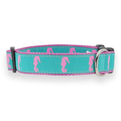 Preston Seahorse Collars & Leads
