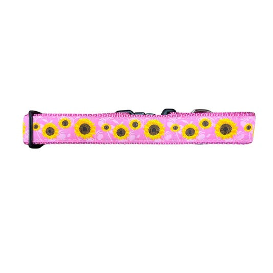 Preston Sunflower Collars & Leads