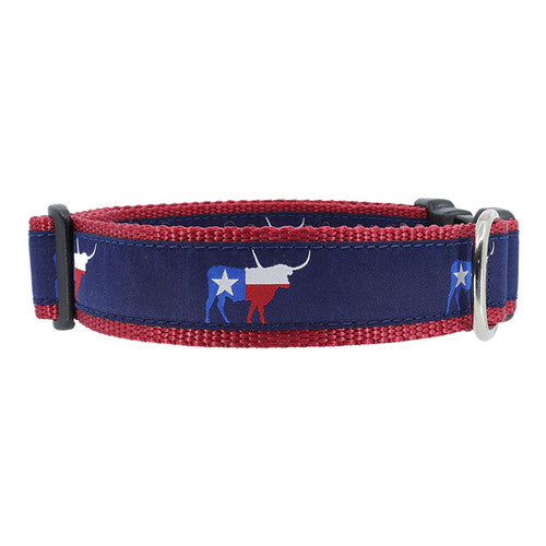 Preston Texas Longhorn Collars & Leads