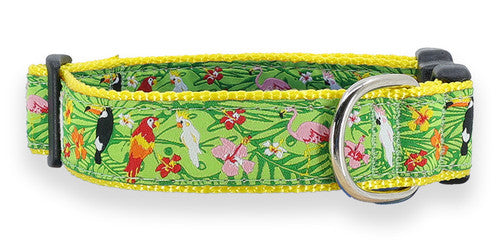 Preston Tropical Birds Collars & Leads