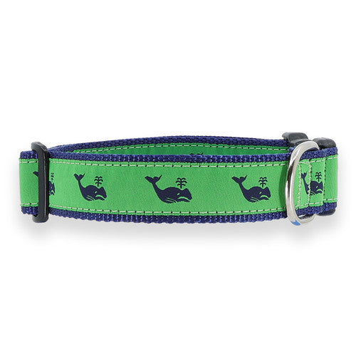Preston Whales Collars & Leads
