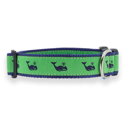 Preston Whales Collars & Leads