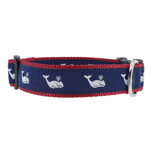 Preston Whales Collars & Leads