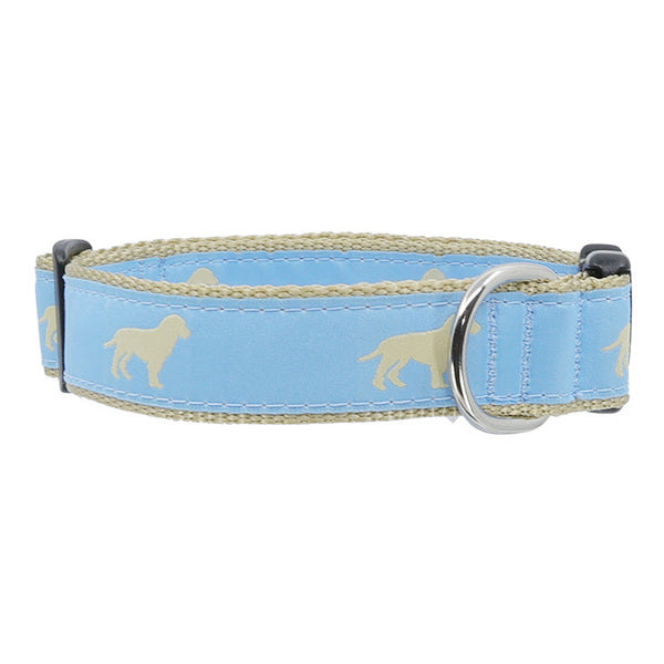 Preston Yellow Dog Collars & Leads