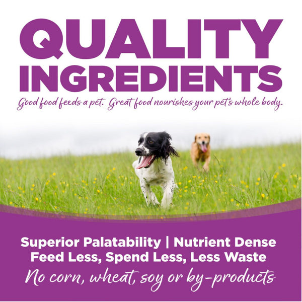 NutriSource Large Breed Puppy Chicken & Rice Dry Dog Food
