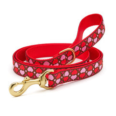 Up Country All Hearts Collars & Leads