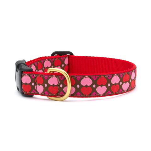 Up Country All Hearts Collars & Leads