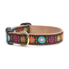 Up Country Bella Floral Collars & Leads