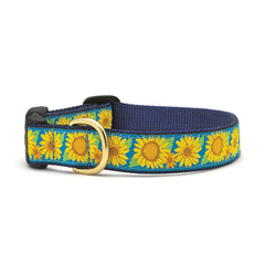 Up Country Bright Sunflower Collars & Leads