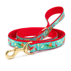 Up Country Cinco De Mayo Collars & Leads