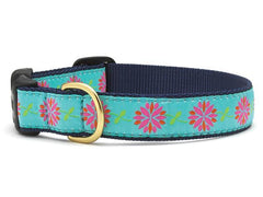 Up Country Dahlia Collars & Leads