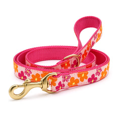 Up Country Flower Power Collars & Leads