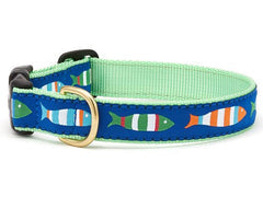 Up Country Funky Fish Collars & Leads