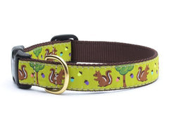 Up Country Nuts Collars & Leads