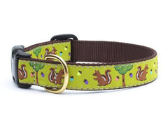 Up Country Nuts Collars & Leads
