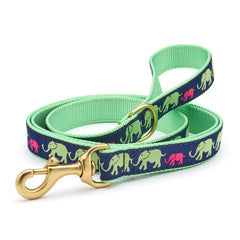 Up Country Leader of the Pach Collar & Leads