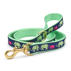 Up Country Leader of the Pach Collar & Leads