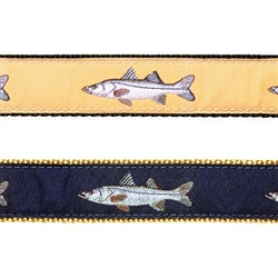 Preston Snook Harness