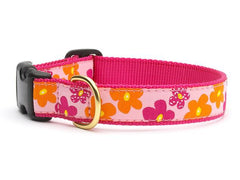 Up Country Flower Power Collars & Leads