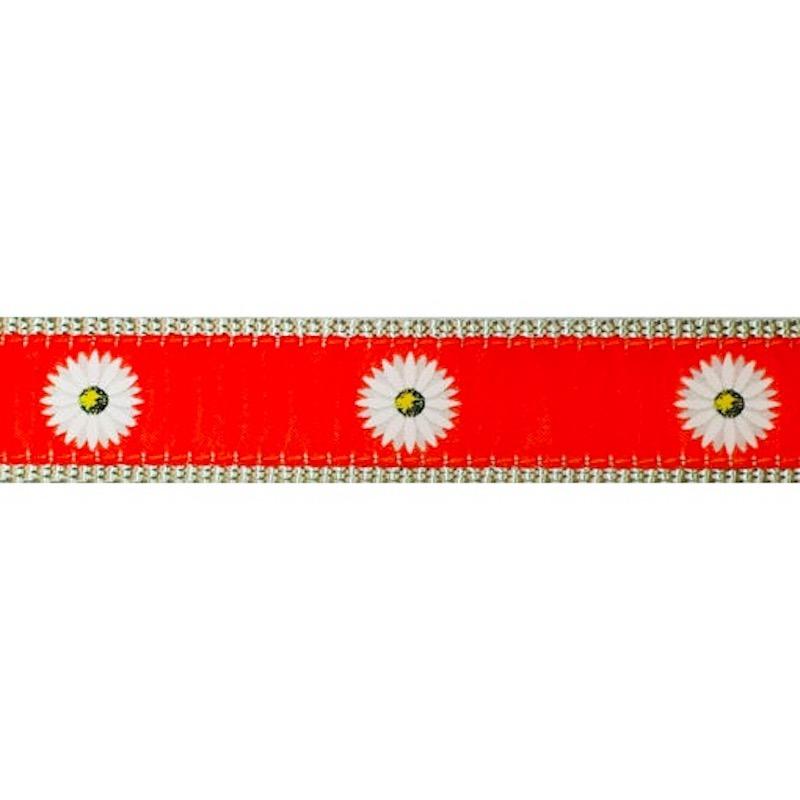 Preston Daisies Collars & Leads