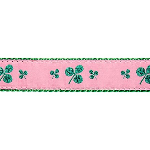 Preston Shamrocks Collars & Leads
