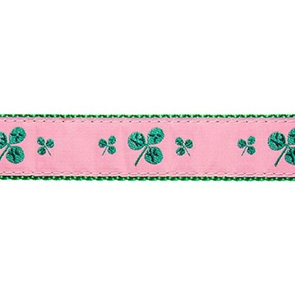 Preston Shamrocks Collars & Leads
